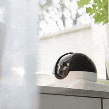 Veloeva™ Buddy AI -  Your Smart Home Intelligence